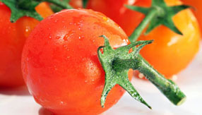 ddos在线攻击测试网站